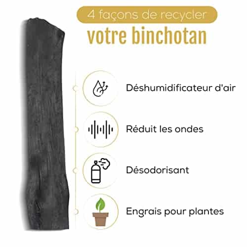 système de filtration au charbon pour lʼeau "3x baton bio purificateur d'eau en vrai chêne wakayama charbon actif binchotan ajima filtration naturelle 1.5l par baton"